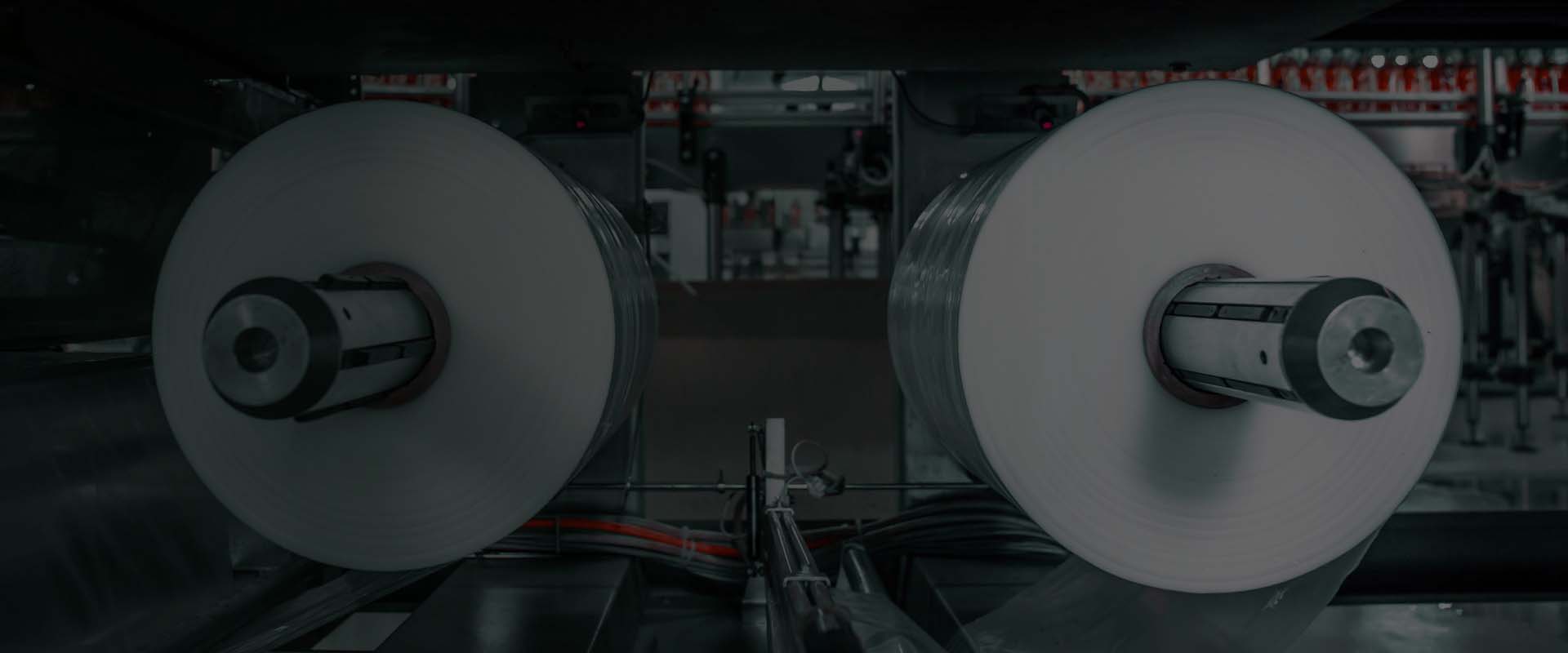 Shyam Flexipack Industries, Manufacturer of PE Films